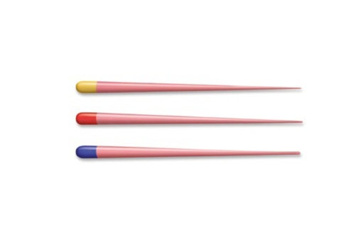 [21011] CONE GUTTA PERCHA DENTPLUS 20 