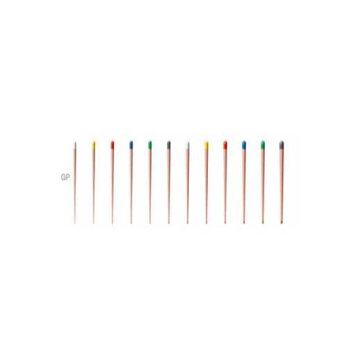 [21014] CONE GUTTA PERCHA  CONICITE 02.10 